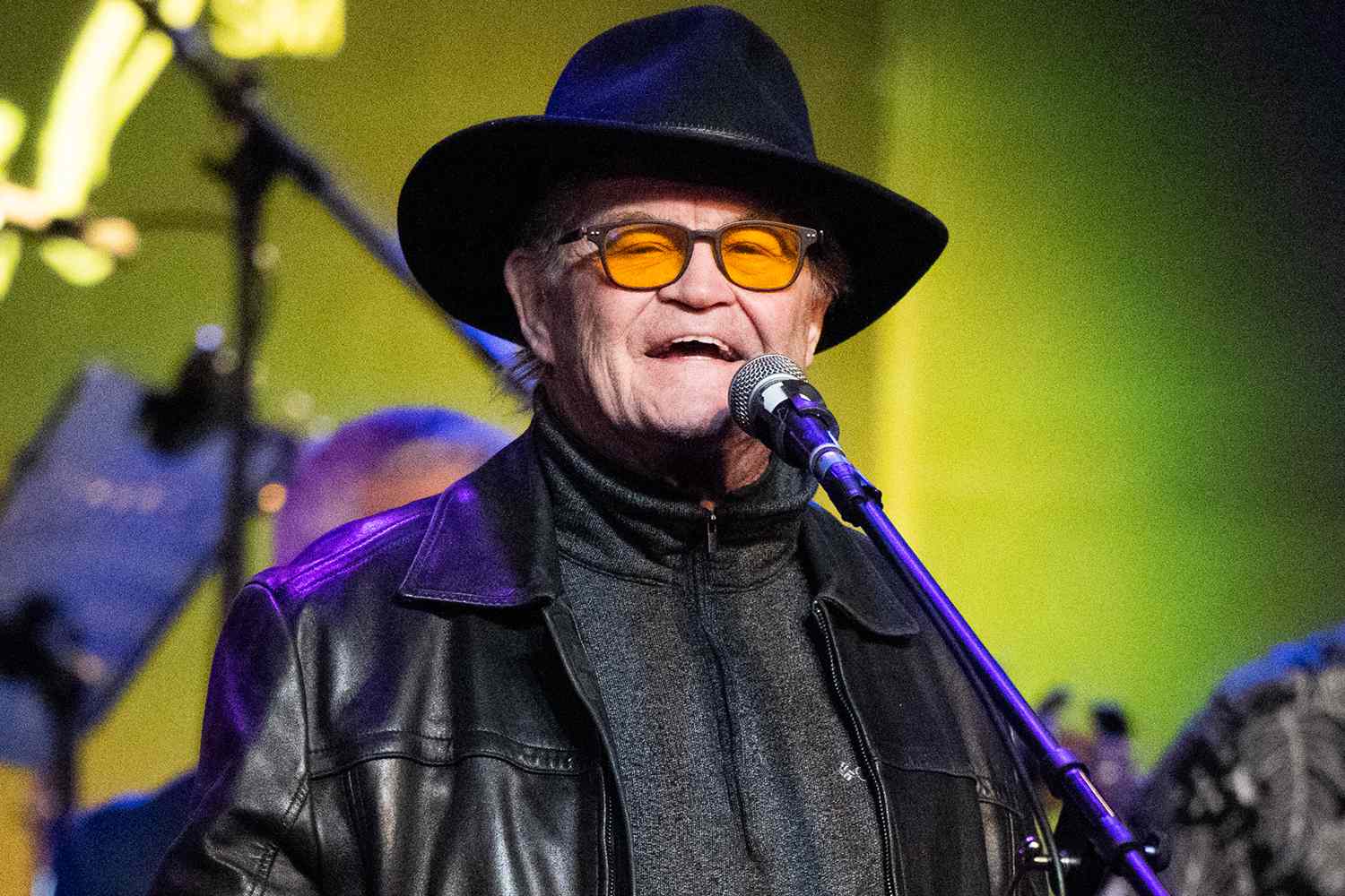 Crowd at a Micky Dolenz show